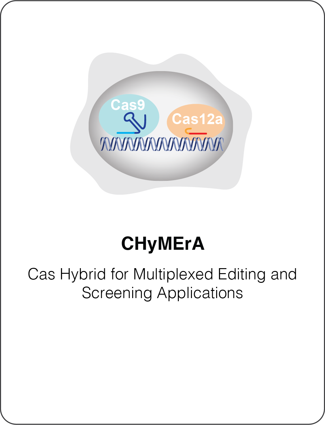 Chymera logo