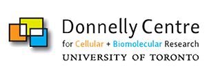 Donnelly logo